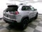 2022 Jeep Cherokee Trailhawk 4x4