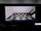 2024 Chevrolet Silverado 1500 Crew Cab Short Box 4-Wheel Drive LTZ
