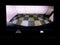 2022 Chevrolet Silverado 1500 LTD Crew Cab Standard Box 4-Wheel Drive Custom Trail Boss